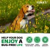 Flea and Tick Prevention for Dogs Chewables 170 Treats Natural Dog Flea and Tick Treatment All Breeds & Ages Made in USA